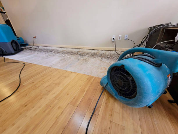 Professional Water Damage Repair technician working in Ronks, PA